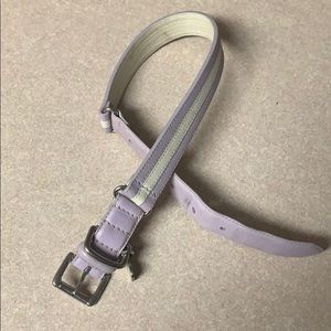 Coach dog collar size large